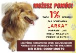 Każdy może wspomóc schronisko przekazując swój 1% podatku.
Dziękujemy za dotychczasowe wsparcie!